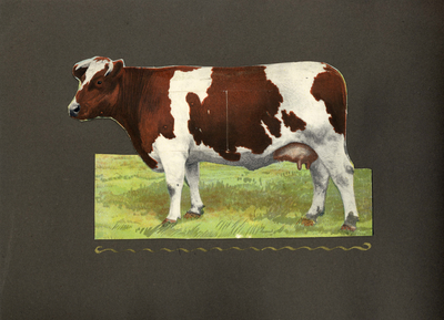 223112 Bladzijde met een ingekleurde en openklapbare foto van een koe (met daaronder het menu) op de ...